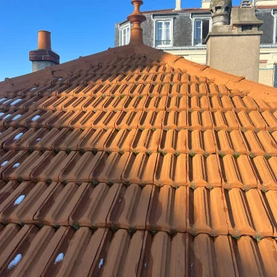 changement tuiles bnp 93