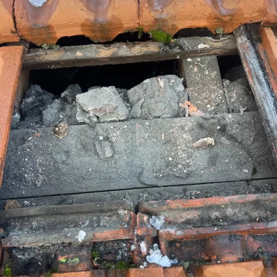 réparation toiture tuiles bnp 93